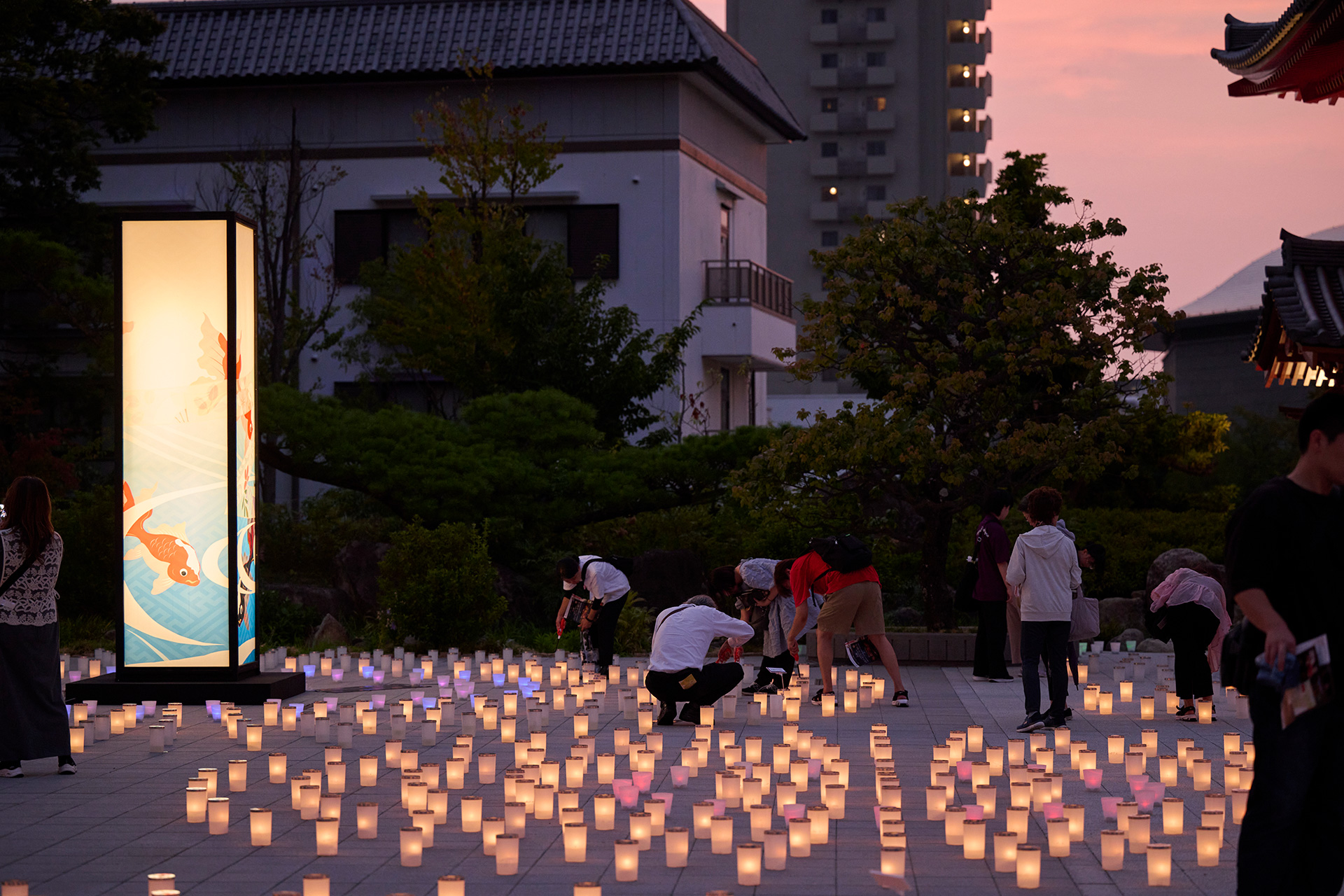 ほの灯り金剛寺2025
