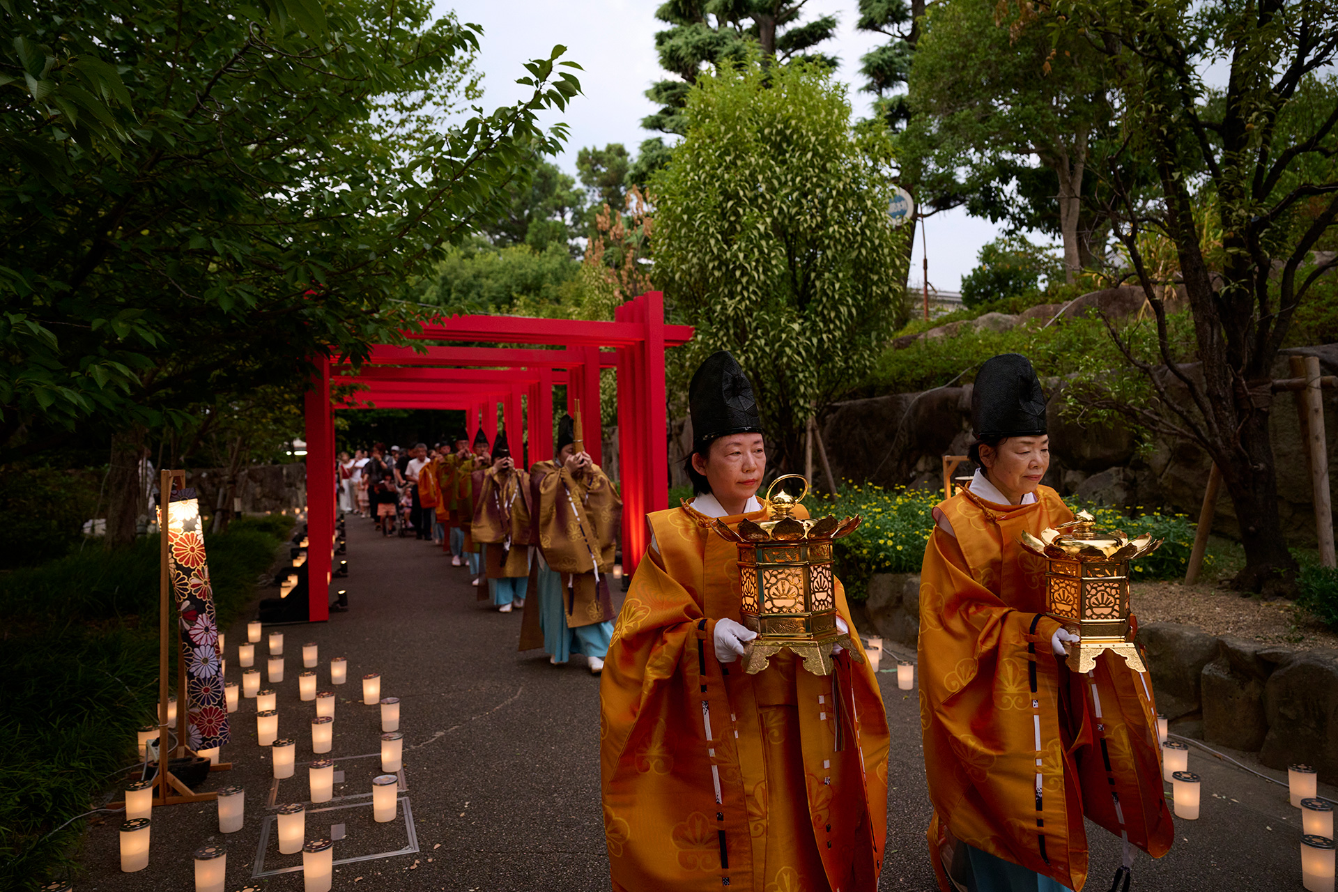 ほの灯り金剛寺2025