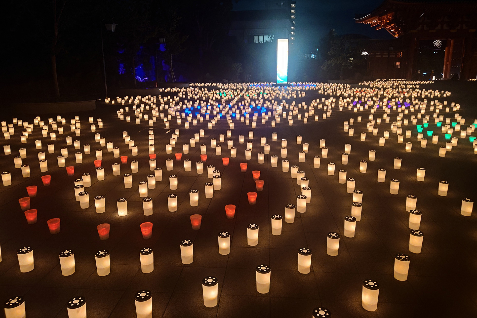 ほの灯り金剛寺2025