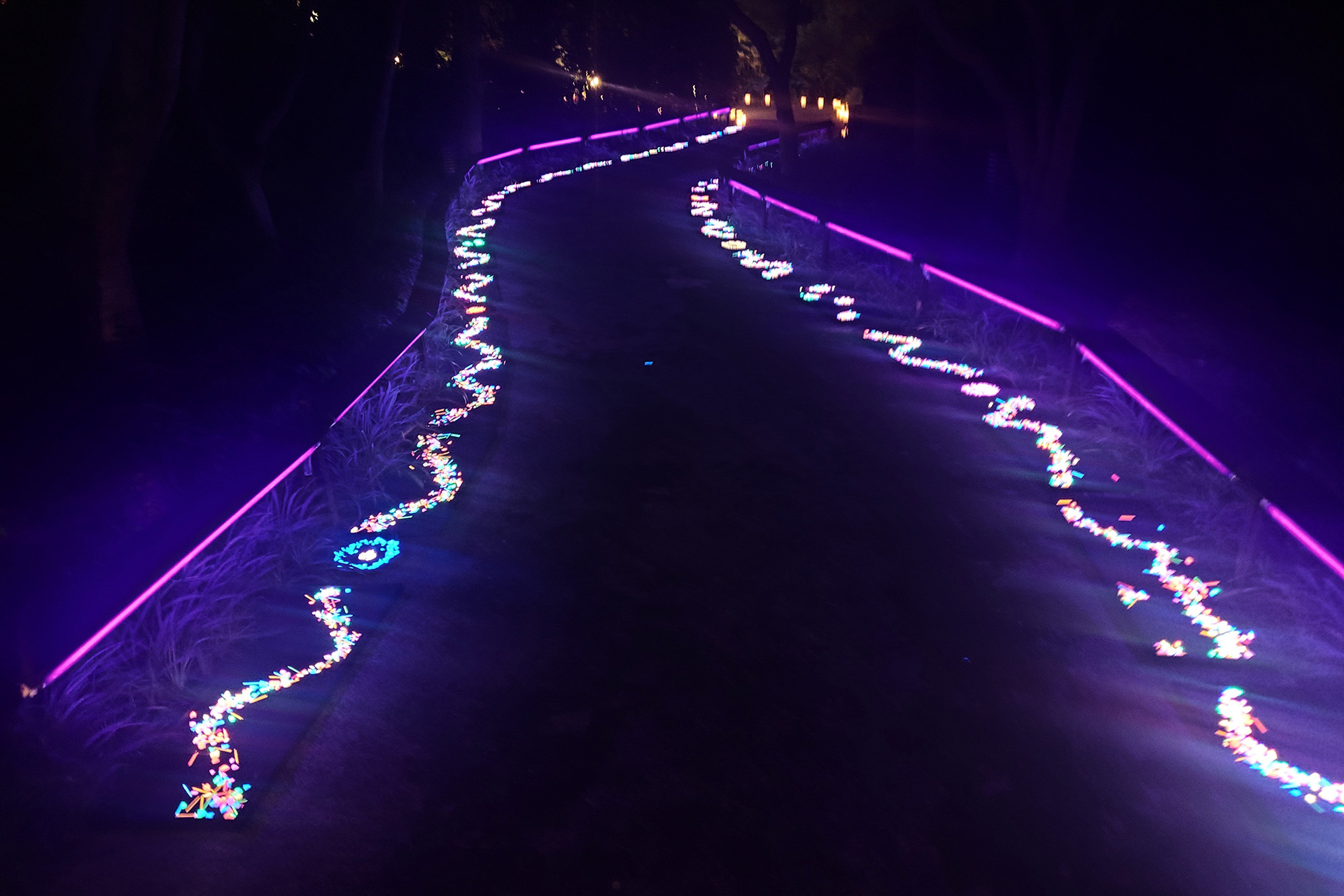 ほの灯り金剛寺2025